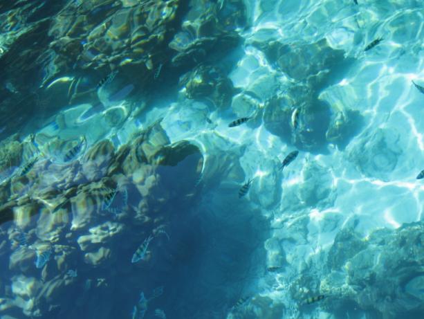 [Phi Phi Lay Lagoon]